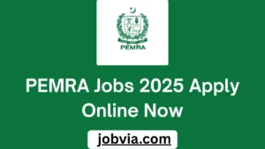 PEMRA Jobs 2025 Apply Online Now