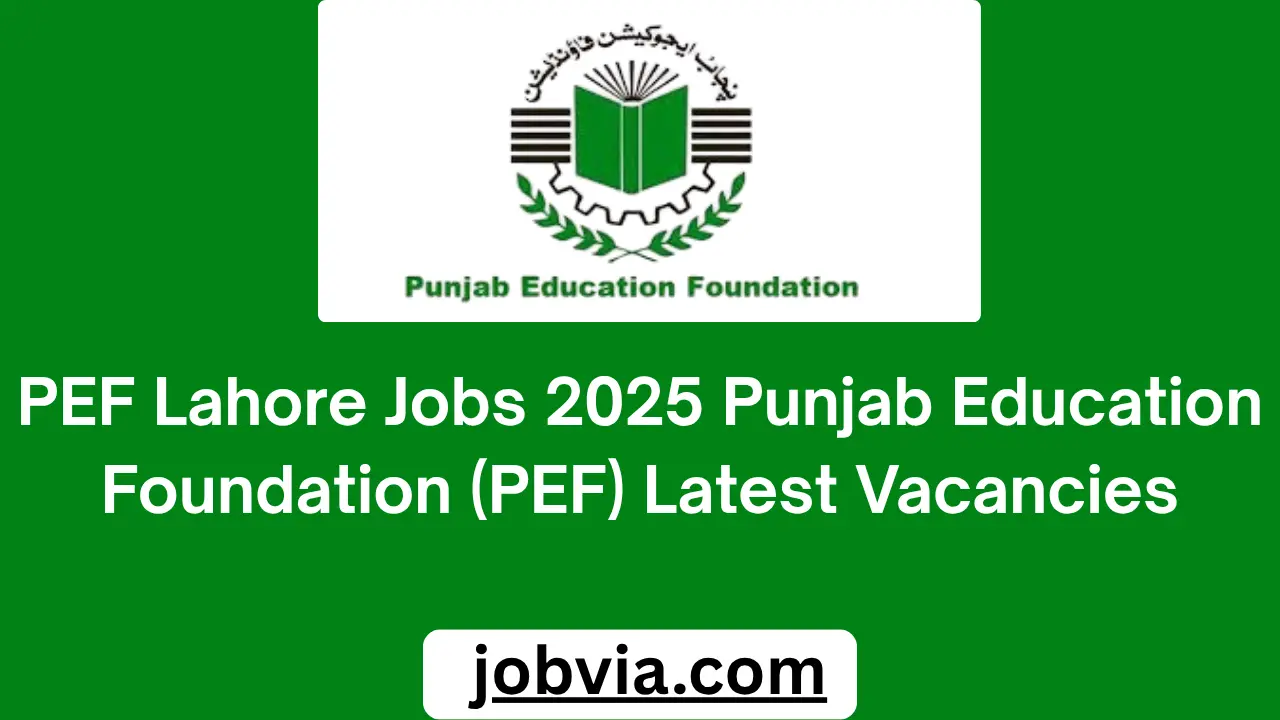 PEF Lahore Jobs 2025 Punjab Education Foundation (PEF) Latest Vacancies